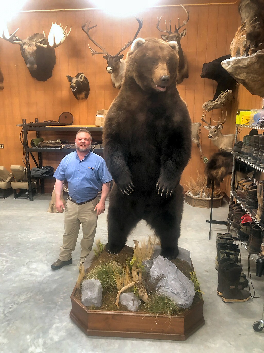 Brown Bear Taxidermy Studio, Pine Grove, PA - Licensed and Insured Pennsylvania Taxidermist